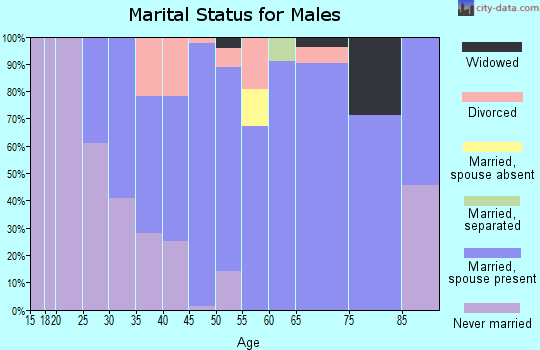 Zip code 48822 marital status for males