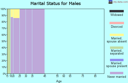 Zip code 48824 marital status for males
