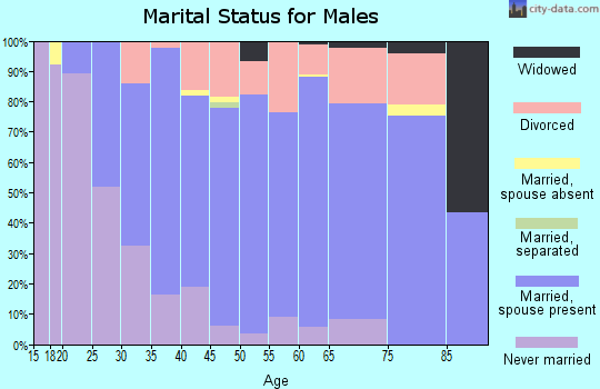 Zip code 48827 marital status for males