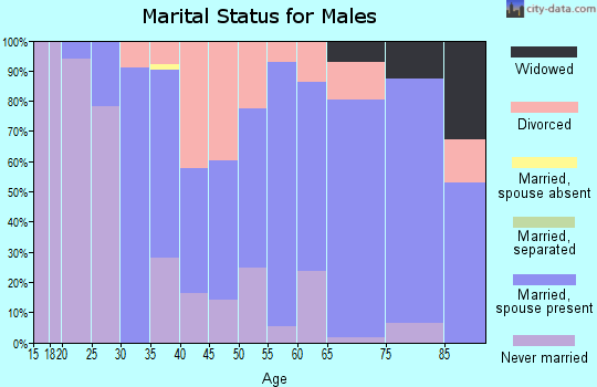 Zip code 48829 marital status for males