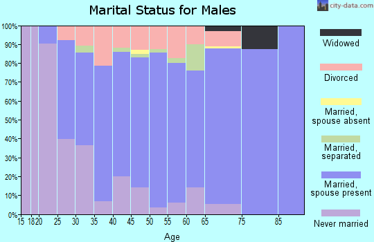 Zip code 48831 marital status for males