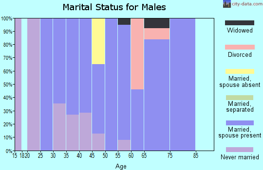 Zip code 48832 marital status for males