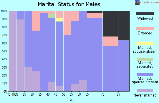 Zip code 48835 marital status for males