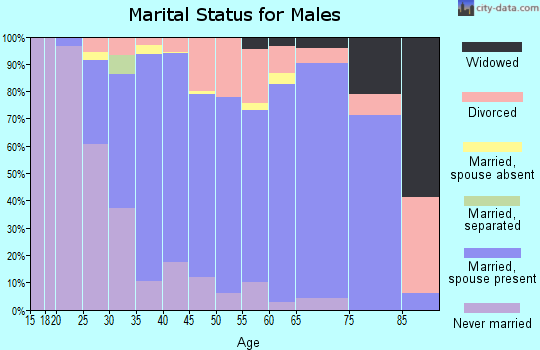 Zip code 48837 marital status for males