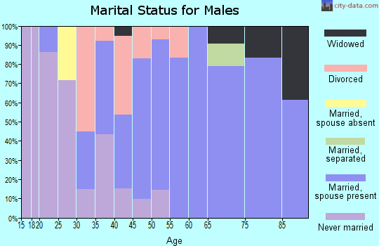 Zip code 48841 marital status for males