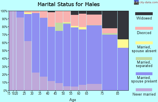 Zip code 48842 marital status for males