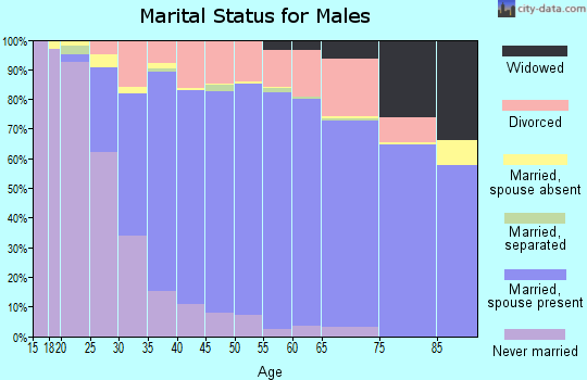 Zip code 48843 marital status for males