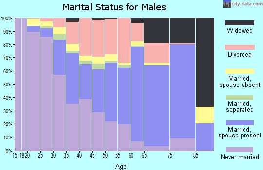 Zip code 48846 marital status for males