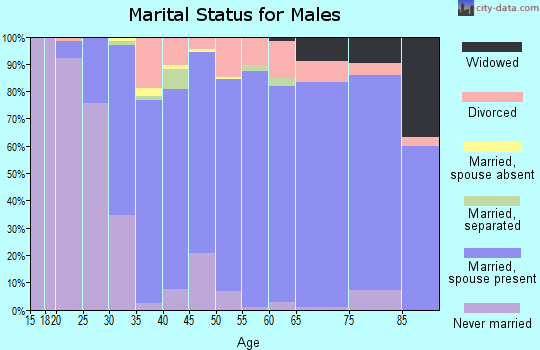 Zip code 48847 marital status for males