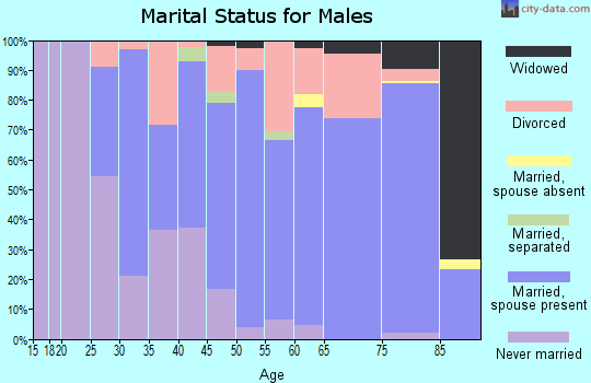 Zip code 48850 marital status for males
