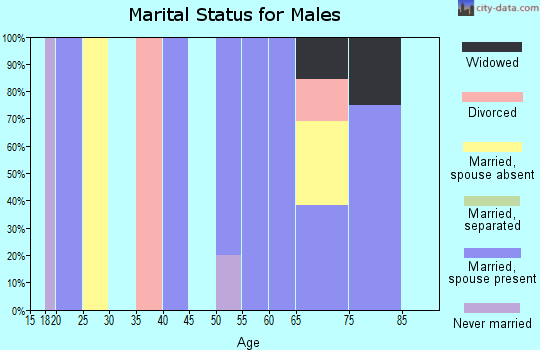 Zip code 48852 marital status for males