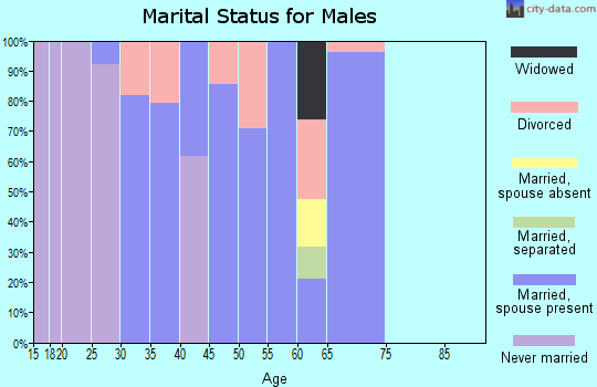 Zip code 48853 marital status for males