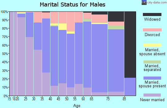 Zip code 48854 marital status for males