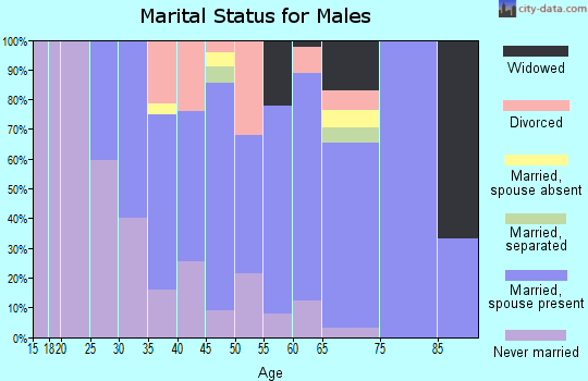 Zip code 48857 marital status for males