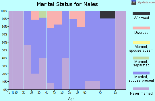 Zip code 48860 marital status for males