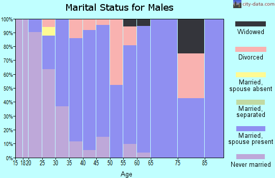 Zip code 48861 marital status for males