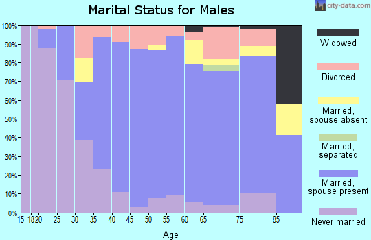 Zip code 48864 marital status for males