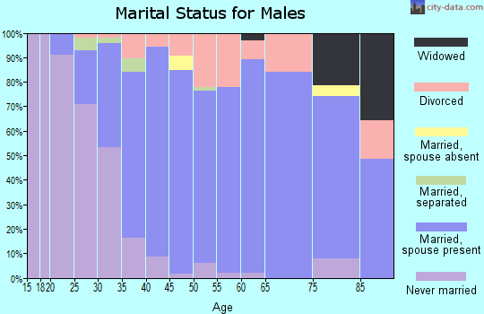 Zip code 48866 marital status for males