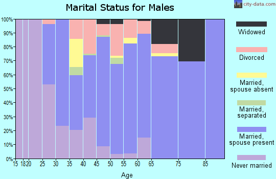 Zip code 48872 marital status for males