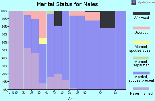 Zip code 48873 marital status for males