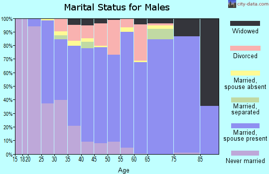 Zip code 48875 marital status for males