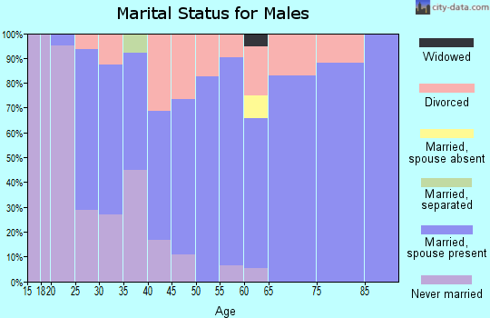 Zip code 48876 marital status for males