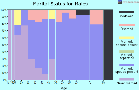 Zip code 48878 marital status for males