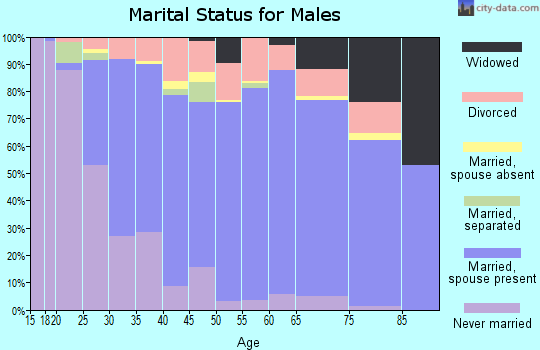 Zip code 48879 marital status for males