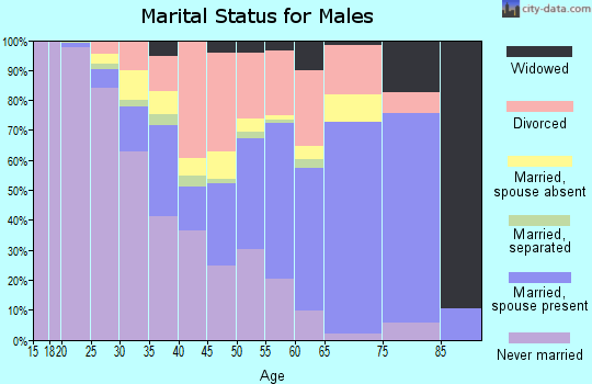 Zip code 48880 marital status for males