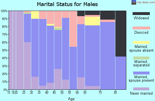 Zip code 48881 marital status for males