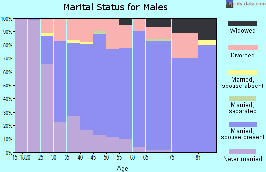 Zip code 48883 marital status for males