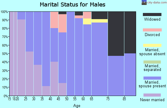 Zip code 48889 marital status for males