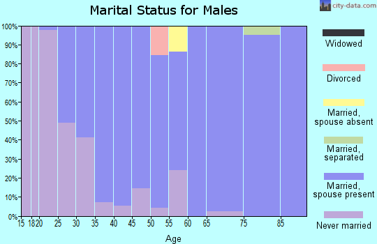 Zip code 48894 marital status for males