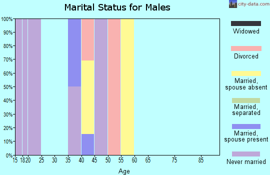 Zip code 48896 marital status for males