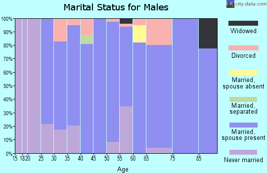 Zip code 48897 marital status for males
