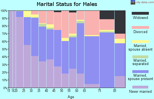 Zip code 48910 marital status for males