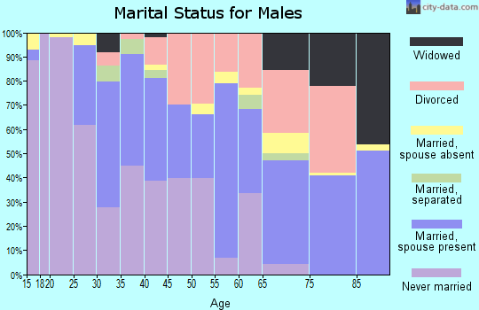 Zip code 48915 marital status for males
