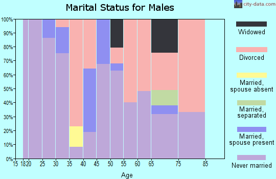 Zip code 48933 marital status for males