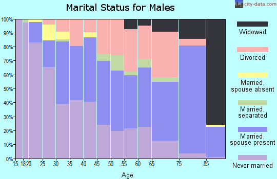 Zip code 49001 marital status for males