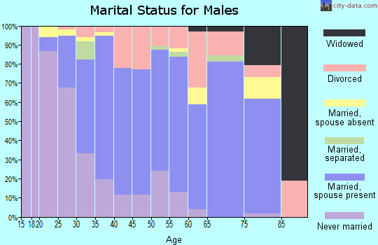 Zip code 49002 marital status for males
