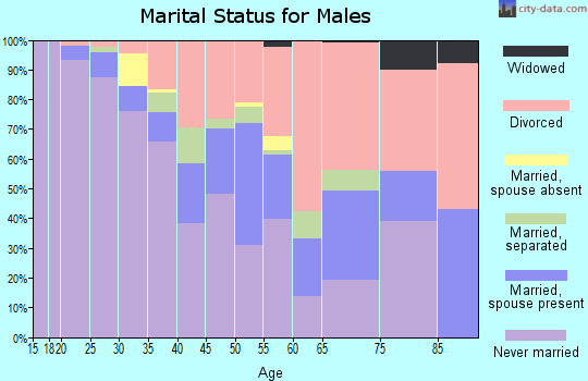 Zip code 49007 marital status for males