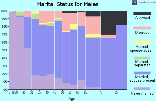 Zip code 49010 marital status for males