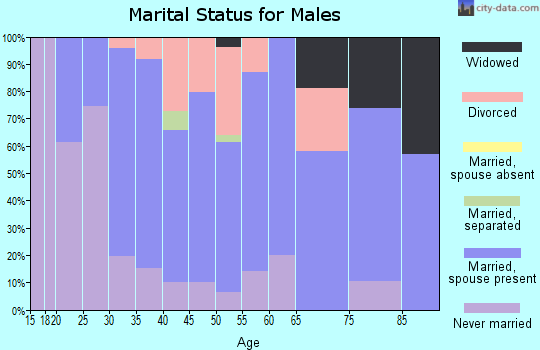 Zip code 49011 marital status for males