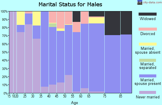 Zip code 49012 marital status for males