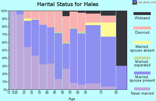 Zip code 49013 marital status for males