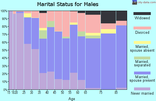 Zip code 49017 marital status for males