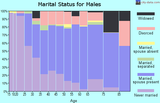 Zip code 49021 marital status for males