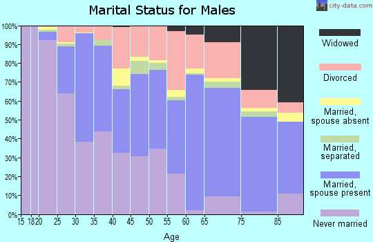 Zip code 49022 marital status for males