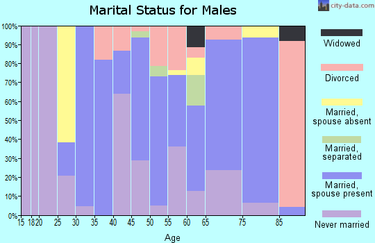Zip code 49026 marital status for males