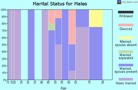 Zip code 49027 marital status for males